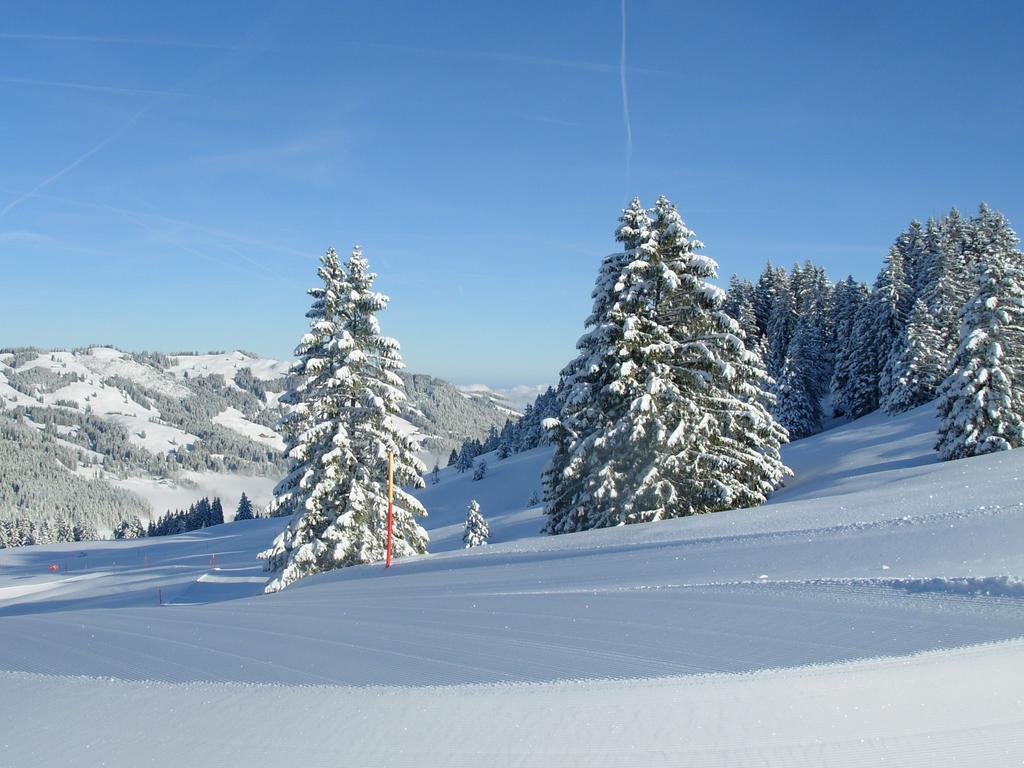 Studio Mythen Schwyz Buitenkant foto
