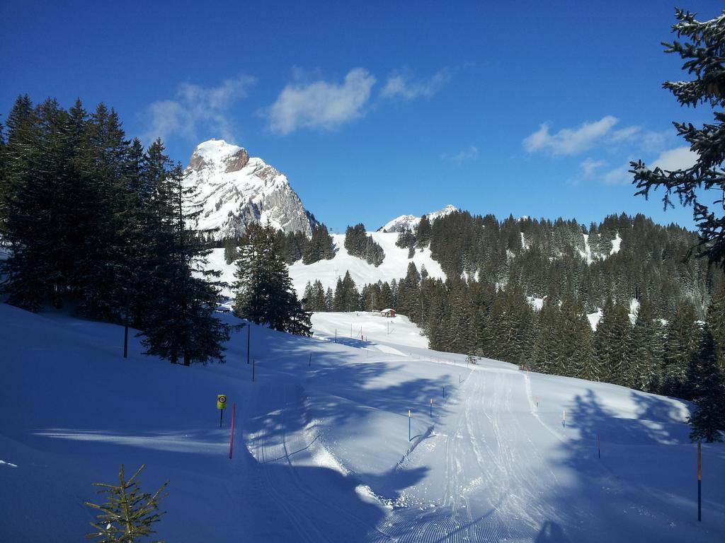 Studio Mythen Schwyz Kamer foto